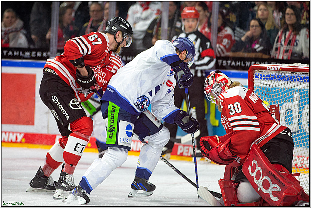 PENNY DEL; Koelner Haie- Straubing Tigers; Koeln, 28.12.2022